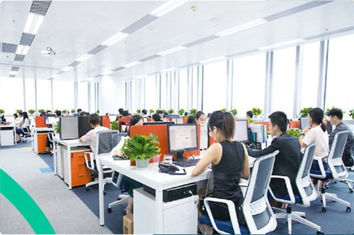 青島進(jìn)口香蕉干運(yùn)輸與貿(mào)易指南 外貿(mào)入門與國內(nèi)代理全解析