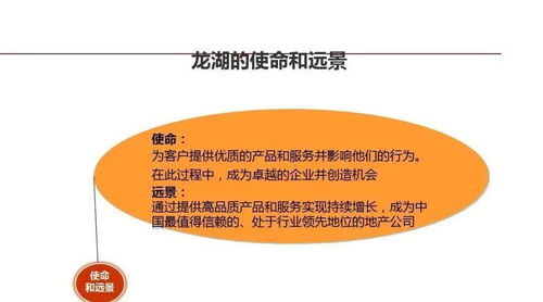 龍湖企業(yè)管理與運(yùn)營(yíng)精細(xì)化管理策略探討